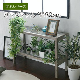 楽天市場 多肉植物 インテリア 寝具 収納 の通販
