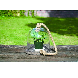 KXI[ig A^Cv GNXeA K[ft@j`[ K[fI[ig u i82084 KXI[ig I[ig A  Ɏq u AeB[N   C