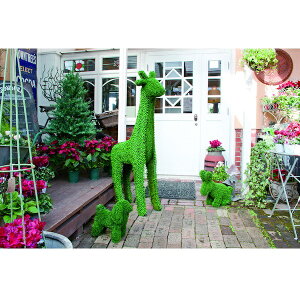 �_�{��300�~�N�[�|���i��^�y�����L���O��܁z �G�N�X�e���A �K�[�f���t�@�j�`���[ �K�[�f���I�[�i�����g �u�� �g�s�A���[(�E�T�M)82120 �K�[�f���g�s�A���[ �g�s�A���[ �� ���� �O���[�� �A