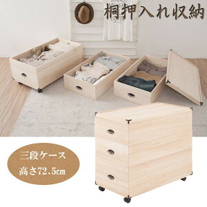 yLO1ʊlz ˉ[P[X 3i 72.5 [Ƌ [ [P[X {bNXgb-0020   [P[X VR i ^X ؐ  ߗގ[ ʐ^Ao[ 