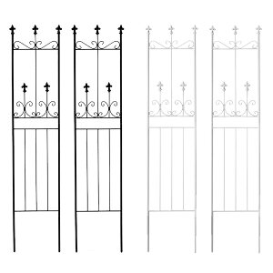 yLO1ʊlz I[hVg[tFX X^Cv 2g GNXeA K[ft@j`[ tFXOC003SL-2P tFX ACA K[ftFX K[fjO g  Ae