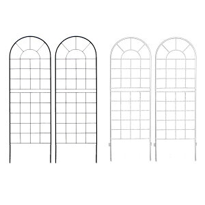 _{ő88%off HSALE^yLO1ʎ܁z GNXeA tFX NVbNtFX150 [^Cv 2gYB015L-2P tFX ACA K[ftFX K[fjO v^[  d