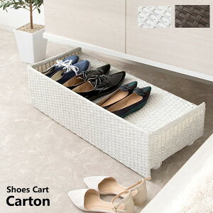 _{300~N[|i^yLO܁z [Ƌ ֎[ ʔ V[Y{bNX V[YJ[g CartoniJgji SC-800 B[ Ԏ[  ʔ C C V[