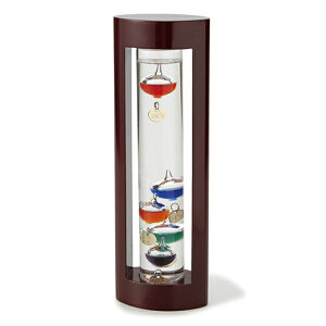 KXt[gxv L ؘg uE Fun Science xv xv333-202 v[g j u IuWF CeA  