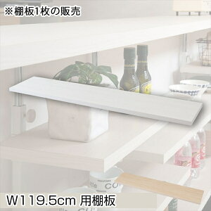 JE^[iKIp ǉI1 119.5cm [Ƌ Lb`[ Lb`JE^[ JE^[Snj-0749 nj-0750 1̂ zCg I ς ^ [I fBXvCbN