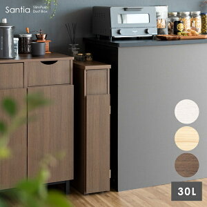 X_Xg{bNX SantiaiTeBAj30L S~DB-F170 S~ W  X^CbV rO Lb` _CjO {bNX 