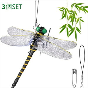 悯 Ij}R 3Zbg wXPA qpi 悯pi20230711-3915 悯 Zbg ɂ S} ŋ  ObY ΍