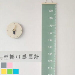 _9/15܂SALEip^ǎ tB EH[XebJ[ V[ Ǌ| ؐ gv 10-200cm20230712-3492 gv Ǌ| ؐ  t qǂ g Vv  S