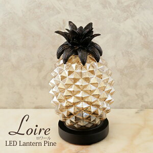 y2ZbgzNew Loire LED [ ^ pC CgF17100051 킢 Ɩ  K[[ L[g AJ JWA re[W