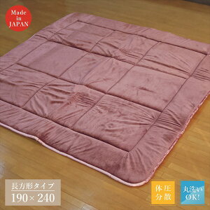 _{300~N[|i^pzc Jo[ p~zc { K ~zc 190×240cmKS- VLAP240EN ̈U ~zc e͐ K xA 
