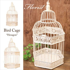 _{ő87%off HSALE^[Ƌ {I bN J[{bNX EH[VFt t[Xgo[hP[WwLTSSET2 White Brush Goldi NBC903HX-W  fBXvC X [