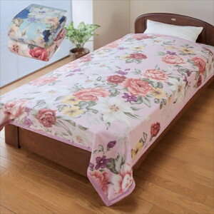 { ÎYj[}C[Ȗѕz 2Fg sN{u[ Q ѕz uPbga31352 FL-3073 1NK Ȗѕz  ԕ  { F M̕i 100