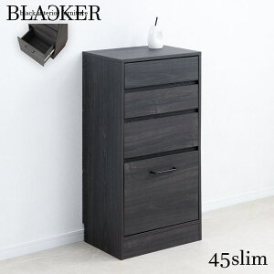 Blacker LV ubNؖڈ rOLrlbg 45cm`FXg [Ƌ ^X `FXgfy-0175lv A4t@C  Ԏ[ H[  [P[X ybgpi[  V 