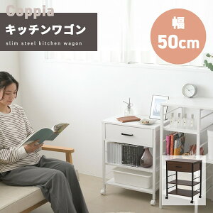 Coppia Lb`S LX^[t X Ƒ 50 s35 65 ъ g[X^[ H [ o t RpNg bN 2i 3i ؐ [Ƌ Lb`[ Lb`SUNI-0