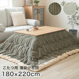 _{300~N[|i^pzc Jo[ p|zc `(105p)R^c|zcR[fC 220×s180cm910219481 910219486 R[fC IV R^czc V[vn 