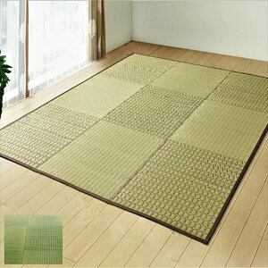 ������D �������O �i���\���H�j�u���R�v200×250cm �J�[�y�b�g �}�b�g �� �J�[�y�b�g ���OTSN340344 TSN340320 ���{�� �� ������ �a�� ���r���O �A�N�Z���g���O ������ �ڋq ���q �����ĂȂ� ���� �a