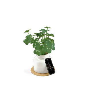 LV} GNA LA[eBtBVO[ STCY lHϗtA CTG} tFCNO[  ~j