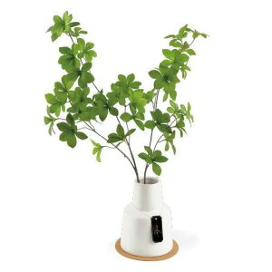 LV} GNA LA[eBtBVO[ LTCY lHϗtA CTG} tFCNO[ 