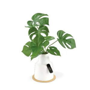 LV} GNA LA[eBtBVO[ LTCY lHϗtA CTG} tFCNO[ 