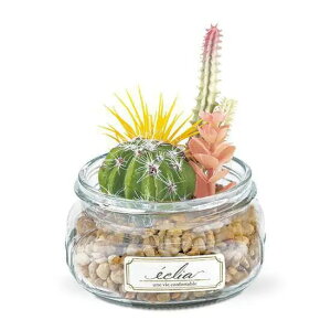 LV} GNA LA[eBtBVO[ Jt KH-61205 KH-61206 KH-61207 lHϗtA CTG} tFCNO[