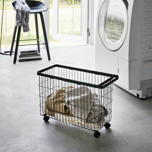 R tower h[oXPbg ^[ LX^[t Ch&[ 4903208066273 4903208066280 zCg ubN 6627 6628