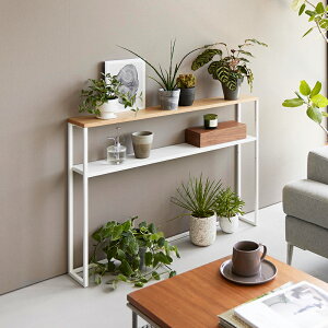 RƁ@Itwbh{[h ^[ zCg 4903208016827@yiԁF01682z