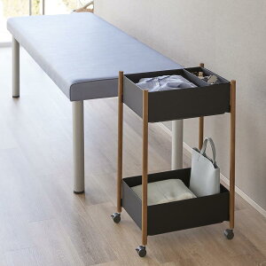 RƁ@g[t[S 2i  uE 4903208101790@yiԁF10179z