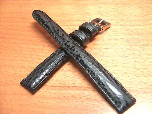 12mm voh (rv) xg 12~ YbR v J[t (V[NXL T ^) vxgEoh ol_T[rX 12~