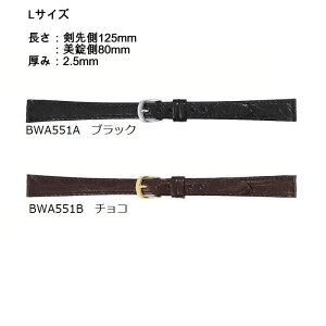 10mm`15mm OTCY() ̑傫lp voh (rv) xg j (JC}) `R () ƃubN()ol_ T[rX rvp vxg vpoh