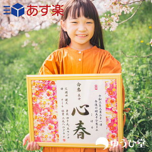 命名紙 おしゃれの人気商品 通販 価格比較 価格 Com