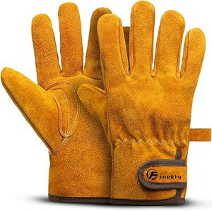 [Fieekty] ϔMO[u Lv  o[xL[ AEghApϔM yϔMiz LȂ v ω dXg[u Α n |p Ɨp tz ϐ350