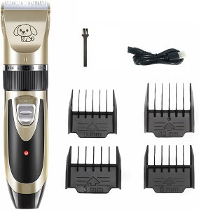 LpoJ ybg vdl Ɩp g}[^Cv [d R[hX ybgpi g~O S 