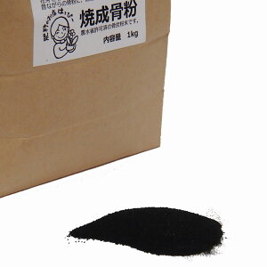  Y Đ Y _JVE 엿 P Ca 2set STCY 1kg x 2 ԉ𑝂₷ ʍؗ ƒ؉  ʕ tʎ t  ԕ  엿 L@엿