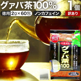 【訳あり】 徳用グァバ茶100 2g×60包 賞味期限2024年8月以降 送料無料 宅配便 | グァバ グァバ茶 グアバ グアバ茶 ガバ茶 ガバちゃ 茶葉 ティーパック ティーバッグ ダイエット ダイエット食品 無添加 100％ ノンカフェイン カフェインなし アウトレット