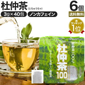 【6/10(月)26時迄20%OFF】 杜仲茶100袋タイプ 3g×40包×6個セット 送料無料 宅配便 | 杜仲茶 とちゅう茶 茶葉 ティーパック ティーバッグ ダイエット ダイエット食品 ハーブティー 無添加 100％ ノンカフェイン カフェインレス デカフェ お茶 おすすめ まとめ買い