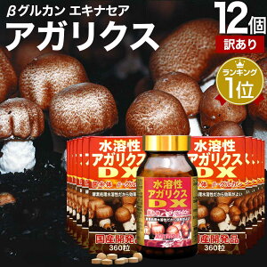 y󂠂z nAKNXDX 360 30 ܖ2026N7ȍ~  z | AKNX AKXN AKXNTv OJ BOJ GS`IlC ێ GLX GL