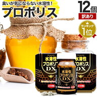 【訳あり】 水溶性プロポリスDX粒 248粒×12個セット 約324〜372日分 賞味期限2028年11月のみ 送料無料 …