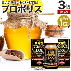 y󂠂z nv|XDX 248×3Zbg 81`93 ܖ2026N1̂  z | v|X GLX v|XGLX v|XTv v|XTvg Tv