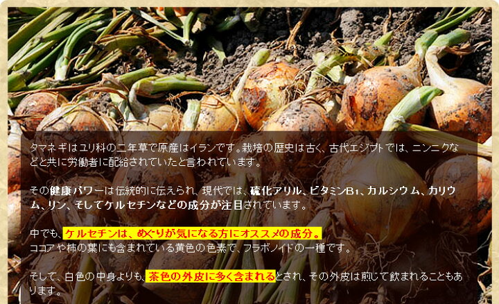 楽天市場 定期購入 玉葱dx 360粒 約30日分 送料無料 宅配便 たまねぎ 玉ねぎ タマネギ 玉葱 玉ねぎの皮 外皮 玉ねぎサプリメント 玉ねぎサプリ たまねぎサプリメント 玉葱サプリメント エキス ケルセチン サプリ サプリメント 粒 タブレット 男性 女性 健康食品