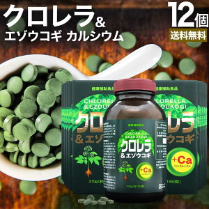NG]ERM 1,550×12Zbg 612`1236  z | N NTvg NTv זEǔj  chlorella G]ERM ERM JVETv