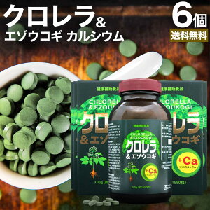 y12/10܂Ł20%OFFz NG]ERM 1,550×6Zbg 306`618  z | N NTvg NTv זEǔj chlorella CGF G]ERM ERM calci