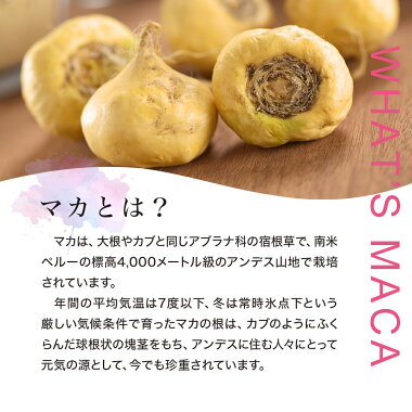 有機マカパワー300粒約30日分送料無料宅配便|マカmakaマカサプリメントマカサプリアンデス有機マカ有機マカ粒オーガニック有機JAS有機JAS無添加100%妊活任活元気元気サプリサプリサプリメント粒タブレット女性男性