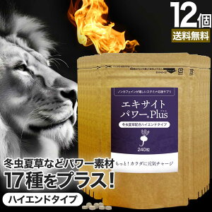 エキサイトパワープラス 240粒×12個セット 約360日分 送料無料 宅配便 | マカ maka マカサプリ 妊活 冬虫夏草 シトルリン トンカットアリ ムクナ 亜鉛サプリ サプリ サプリメント 粒 男性 女性