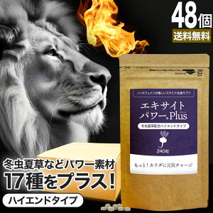 エキサイトパワープラス 240粒×48個セット 約1440日分 送料無料 宅配便 | マカ maka マカサプリ 妊活 冬虫夏草 シトルリン トンカットアリ ムクナ 亜鉛サプリ サプリ サプリメント 粒 男性 女性