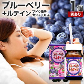 【訳あり】 ブルーベリー＋ルテイン粒 60球 約30日分 賞味期限2026年12月のみ 送料無料 宅配便 | ルテイン ビルベリー ブルーベリー アントシアニン カシス エキス DHA サプリメントdha オメガ3 omega3 オメガ3オイル サプリ サプリメント アウトレット