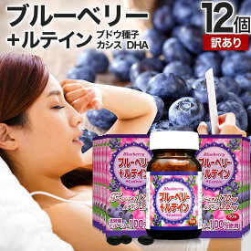 【訳あり】 ブルーベリー＋ルテイン粒 60球×12個セット 約360日分 賞味期限2026年12月のみ 送料無料 宅配便 | ルテイン ビルベリー ブルーベリー アントシアニン カシス エキス DHA オメガ3 omega3 オメガ3オイル サプリ サプリメント アウトレット まとめ買い