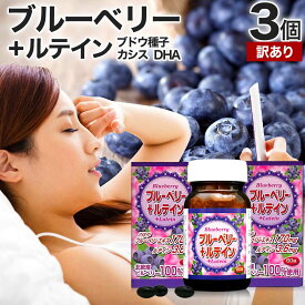 【訳あり】 ブルーベリー＋ルテイン粒 60球×3個セット 約90日分 賞味期限2026年12月のみ 送料無料 宅配便 | ルテイン ビルベリー ブルーベリー アントシアニン カシス エキス DHA オメガ3 omega3 オメガ3オイル サプリ サプリメント アウトレット まとめ買い