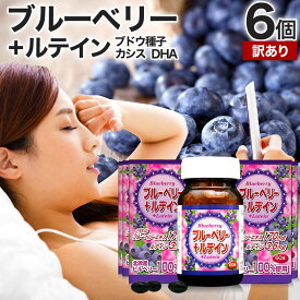 【訳あり】 ブルーベリー＋ルテイン粒 60球×6個セット 約180日分 賞味期限2026年12月のみ 送料無料 宅配便 | ルテイン ビルベリー ブルーベリー アントシアニン カシス エキス DHA オメガ3 omega3 オメガ3オイル サプリ サプリメント アウトレット まとめ買い
