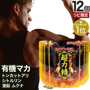 ys[^[lz ͐ (40JvZ) 40JvZ×12Zbg 240  z | }J maka }JTvg }JTv Vg gJbgA Ni  y Tv