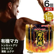 【訳あり】 超力精 (40カプセル) 40カプセル×6個セット 約120日分 賞味期限2026年11月以降 送料無料 メ…